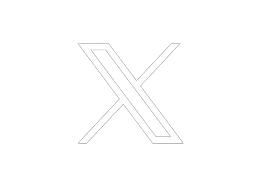 twitter icon
